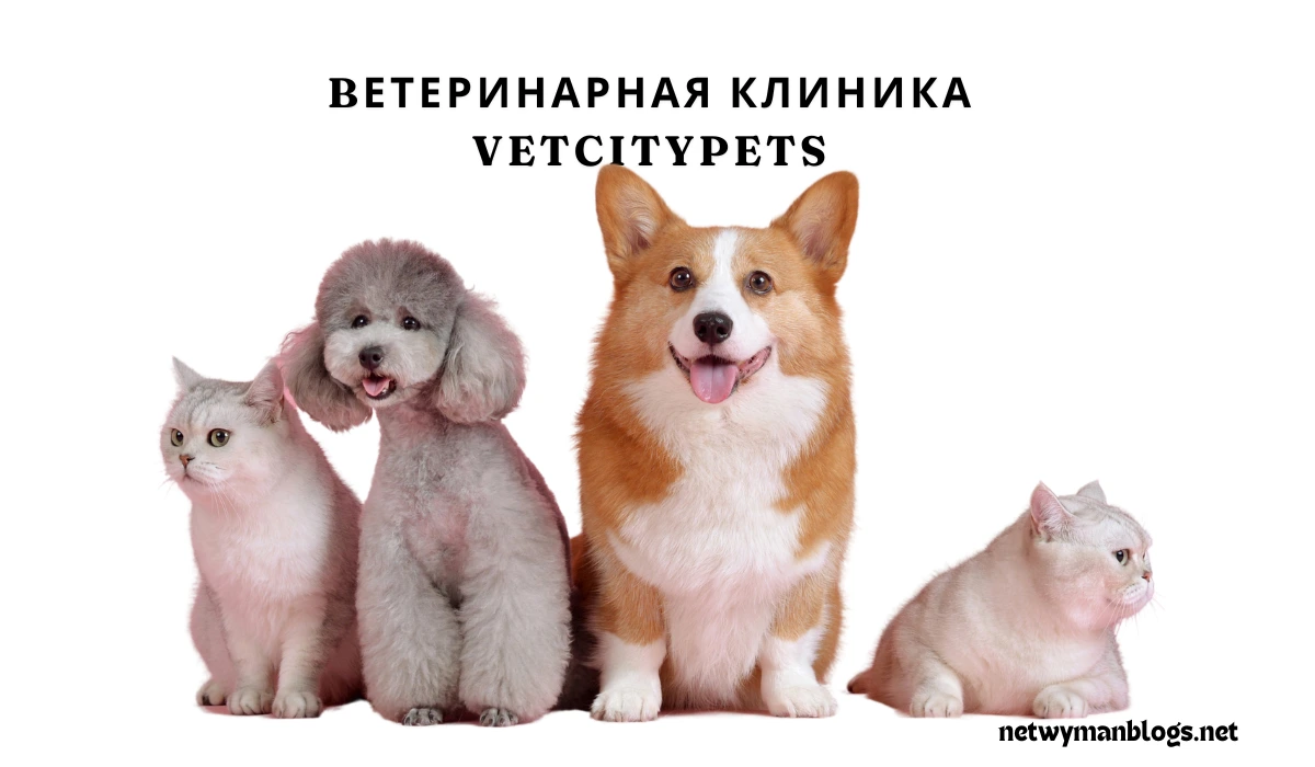 Bетеринарная клиника VetCityPets