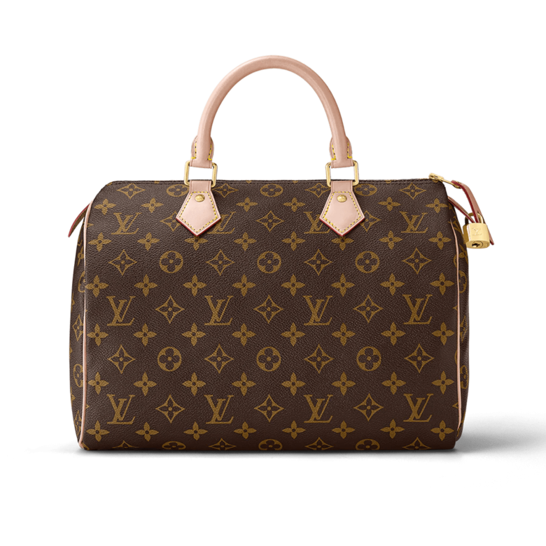 Iconic Louis Vuitton Styles You Can Find for Less in 2024